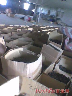 惠州專業(yè)二手設(shè)備回收 高價(jià)收購，信譽(yù)保障